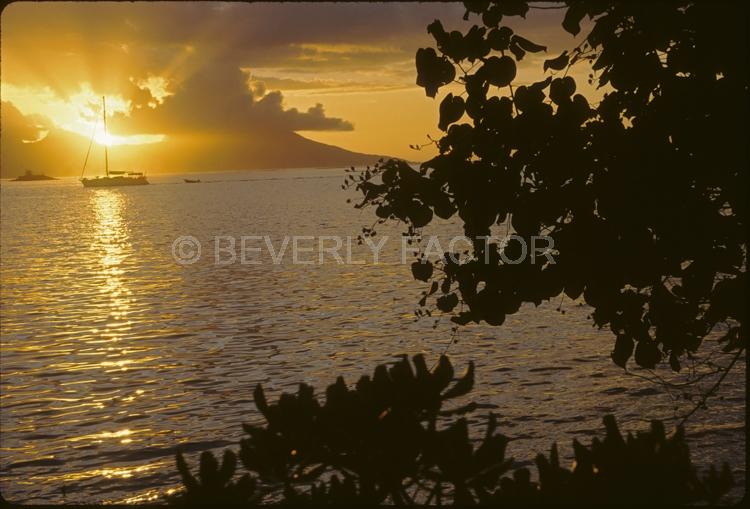 ocean;papeete;sunset Island;tree;clouds